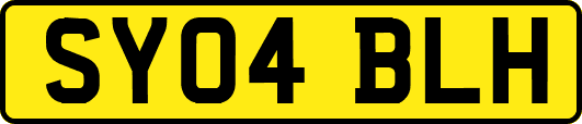 SY04BLH