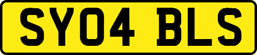 SY04BLS