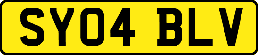 SY04BLV