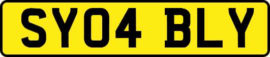 SY04BLY