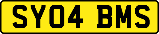 SY04BMS