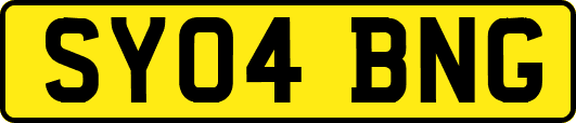 SY04BNG