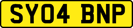 SY04BNP
