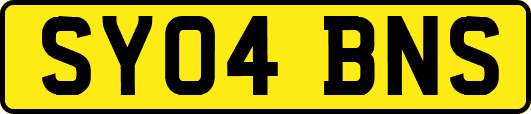 SY04BNS