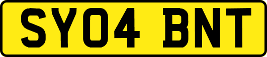 SY04BNT