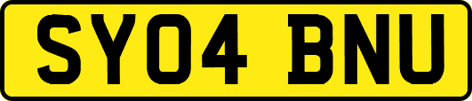 SY04BNU