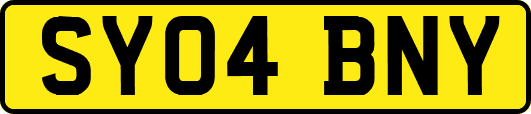 SY04BNY