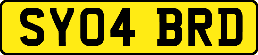 SY04BRD