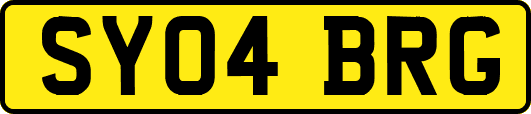 SY04BRG