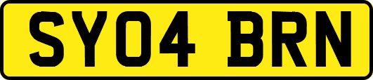 SY04BRN