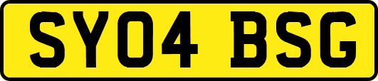 SY04BSG