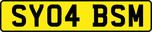 SY04BSM