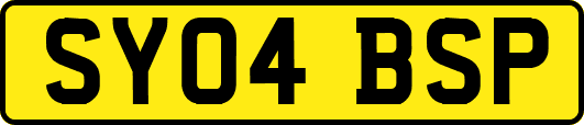 SY04BSP