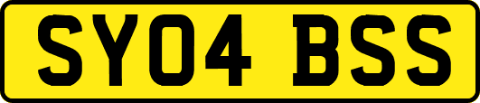 SY04BSS
