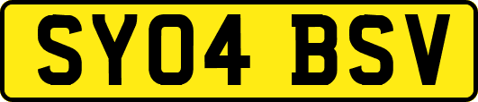 SY04BSV