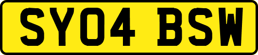 SY04BSW