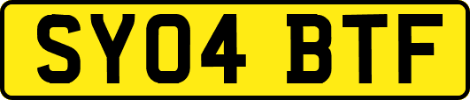 SY04BTF
