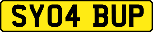 SY04BUP