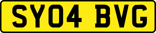 SY04BVG