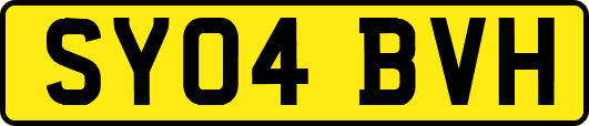 SY04BVH