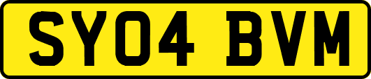 SY04BVM