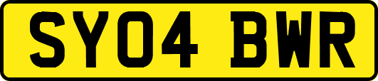 SY04BWR