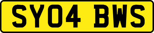 SY04BWS