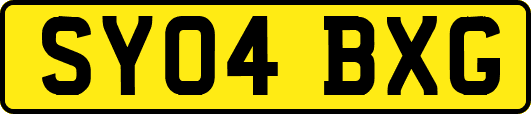 SY04BXG