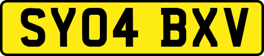 SY04BXV