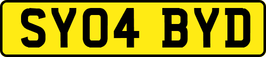 SY04BYD