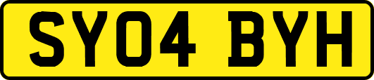 SY04BYH