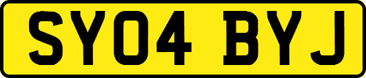 SY04BYJ