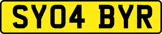 SY04BYR