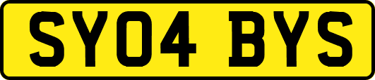 SY04BYS