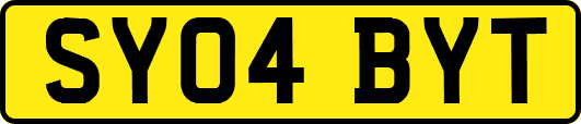 SY04BYT