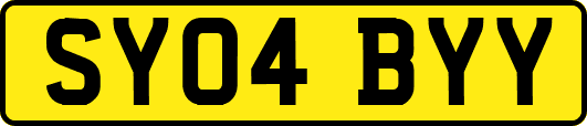 SY04BYY