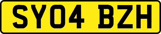 SY04BZH