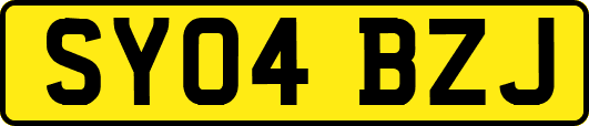 SY04BZJ