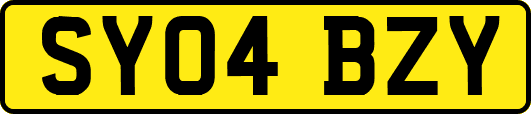 SY04BZY