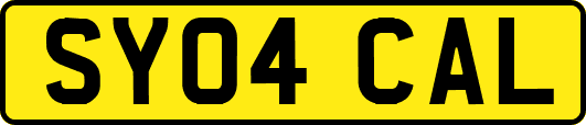 SY04CAL