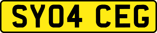 SY04CEG