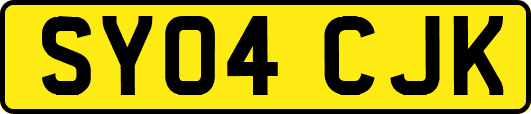 SY04CJK