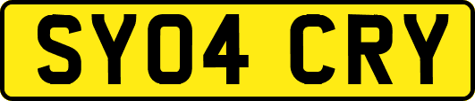 SY04CRY