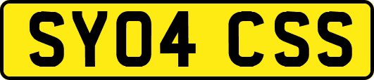 SY04CSS