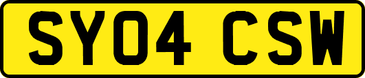 SY04CSW