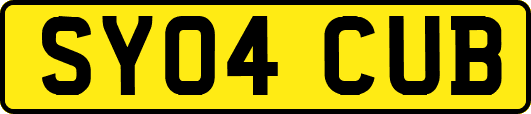 SY04CUB
