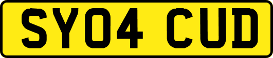 SY04CUD