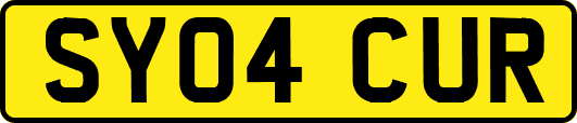 SY04CUR
