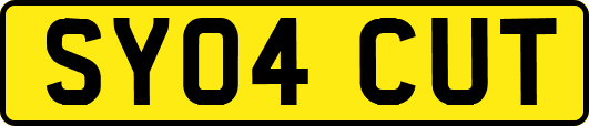 SY04CUT