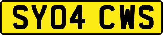 SY04CWS